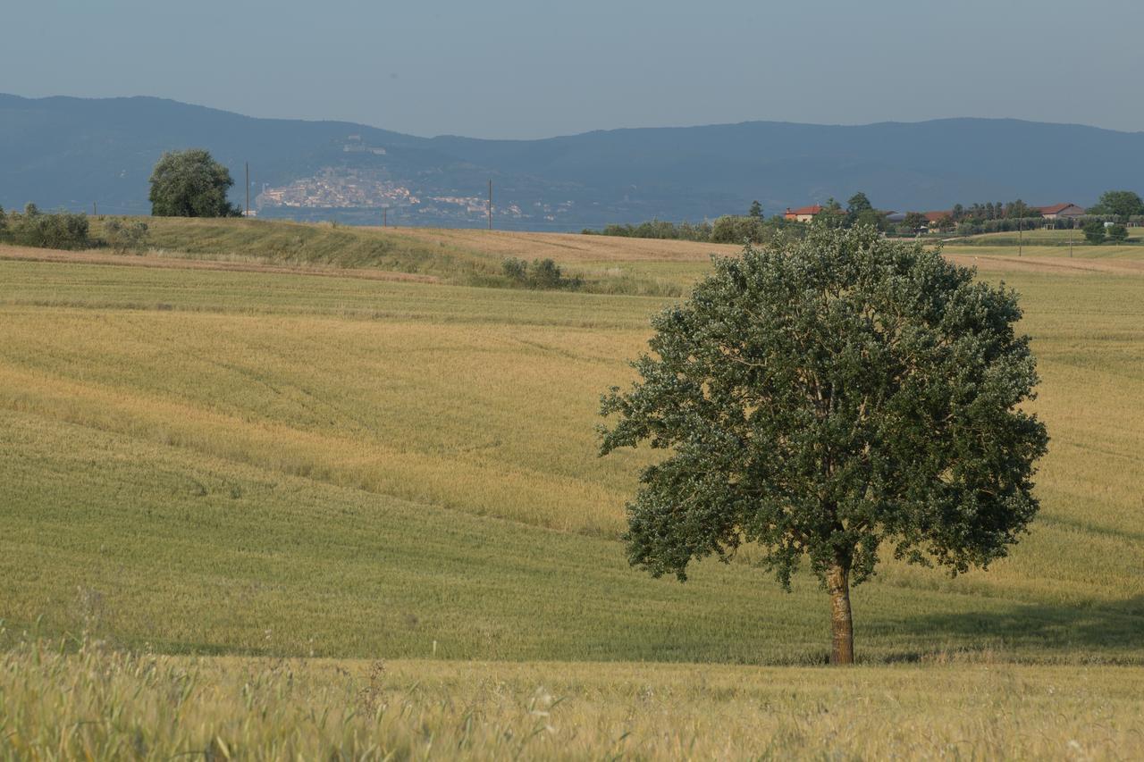 Casa Bellavista B&B Cortona Exteriér fotografie