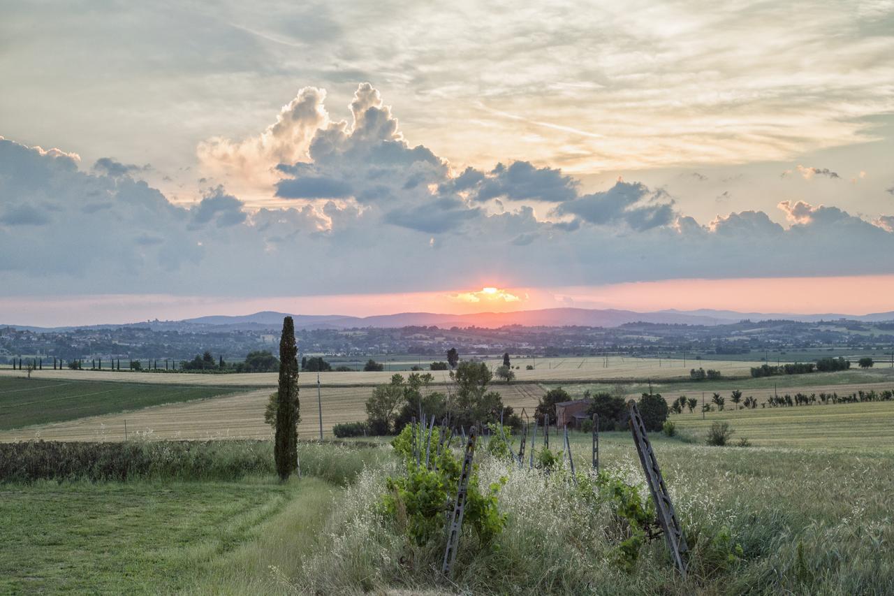 Casa Bellavista B&B Cortona Exteriér fotografie